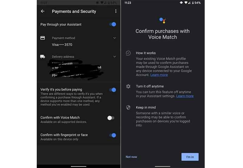 google voice payment