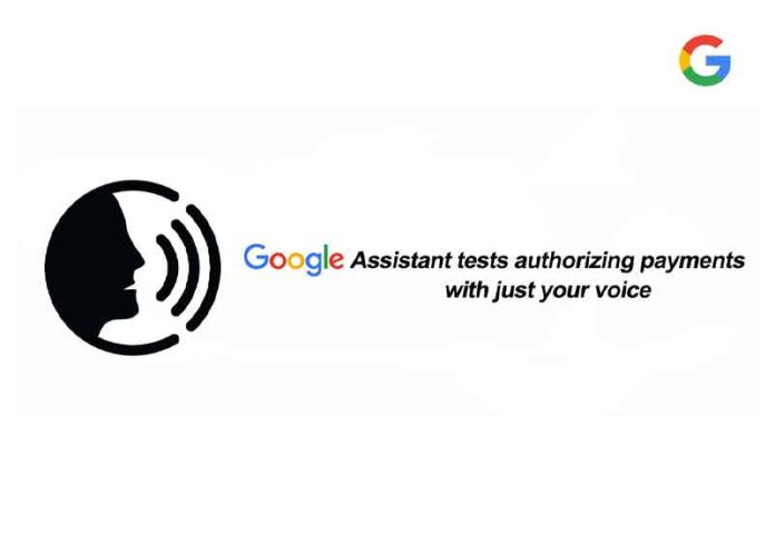 google voice payment