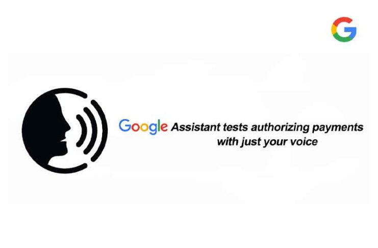google voice payment